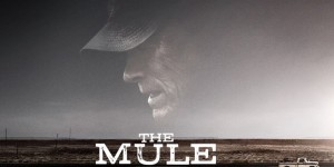 Beitragsbild des Blogbeitrags „The Mule“ – Kritik
