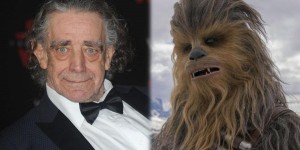 Beitragsbild des Blogbeitrags Chewbacca-Darsteller Peter Mayhew ist tot