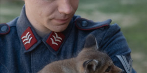 Beitragsbild des Blogbeitrags „Der Fuchs“: Neuer Film von „Die beste aller Welten“-Regisseur Adrian Goiginger 