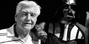 Beitragsbild des Blogbeitrags Corona-Pandemie: Diese Stars sind an Covid19 gestorben