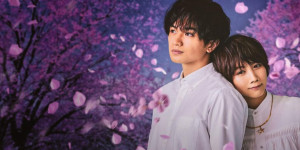 Beitragsbild des Blogbeitrags „Love Like the Falling Petals“: Kritik zur Netflix-Romanze aus Japan