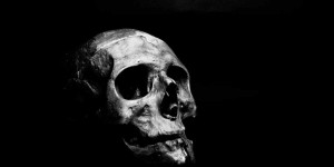 Beitragsbild des Blogbeitrags Horror-Perlen – 25 Filmtipps zu Halloween 