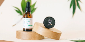 Beitragsbild des Blogbeitrags Business-Investments & private Nutzung: Diese Stars schwören auf CBD und legale Cannabis-Produkte