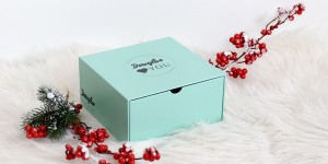 Beitragsbild des Blogbeitrags Douglas Box of Beauty – Dezember 2017 