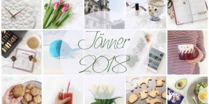 Beitragsbild des Blogbeitrags Monatsrückblick: Jänner 2018