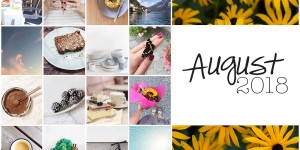 Beitragsbild des Blogbeitrags Monatsrückblick: August 2018