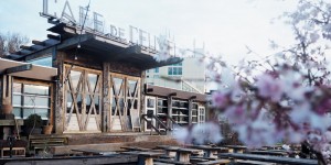 Beitragsbild des Blogbeitrags Amsterdam: Fünf Tipps für coole Orte abseits der Touri-Massen
