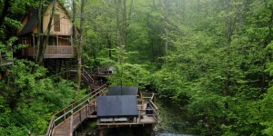 Beitragsbild des Blogbeitrags [7ways2travel] Ab ins Grüne: Glamping in Slowenien 