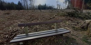 Beitragsbild des Blogbeitrags Die Zeit ist überreif für die Reise zu uns selbst