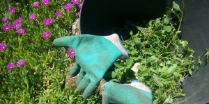 Beitragsbild des Blogbeitrags Workaway: Günstig reisen und Erfahrungen sammeln am Campingplatz in Portugal