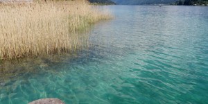 Beitragsbild des Blogbeitrags Weissensee: Den Touristen auf die Finger klopfen