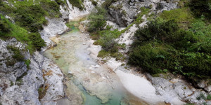 Beitragsbild des Blogbeitrags Wildschwimmen & Flussbaden in Österreich: kalt und kälter
