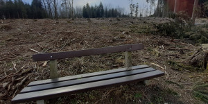Beitragsbild des Blogbeitrags Die Zeit ist überreif für die Reise zu uns selbst. Gedanken aus dem Wald.