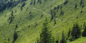 Beitragsbild des Blogbeitrags Wandern ohne Auto in der Region Saalfelden Leogang 