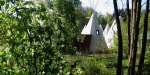 Beitragsbild des Blogbeitrags Glamping in der oberösterreichischen Pampa