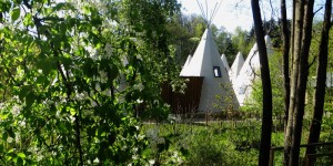 Beitragsbild des Blogbeitrags Glamping in der oberösterreichischen Pampa 