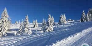 Beitragsbild des Blogbeitrags Wenn der Hausberg ruft! 