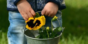 Beitragsbild des Blogbeitrags 3 Tipps für den Muttertag in Kärnten