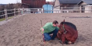 Beitragsbild des Blogbeitrags #MotivationPush 1 – Vertrauen