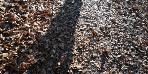 Beitragsbild des Blogbeitrags Den richtigen Verkaufstrainer für Ihre Verkaufsmannschaft finden