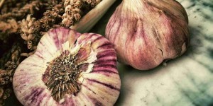Beitragsbild des Blogbeitrags Achtung, Knoblauch kann Blutverdünner verstärken!