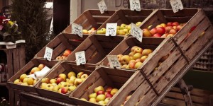 Beitragsbild des Blogbeitrags Verblüffend: Warum ein Neuseeland-Apfel klimaschonender sein kann als ein heimischer