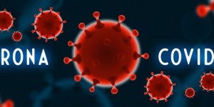 Beitragsbild des Blogbeitrags Genussvoll und gesund durch die Corona-Krise – mit diesen 6 essenziellen Tipps