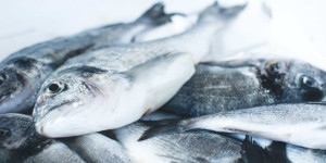 Beitragsbild des Blogbeitrags Vitamin D: Wie gut sind Sie versorgt und was bringts?
