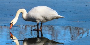 Beitragsbild des Blogbeitrags “Die Sache mit der Selbstliebe” oder “Ich sitze !!NACKT!! vorm Spiegel!”