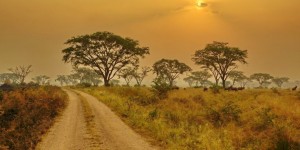 Beitragsbild des Blogbeitrags Uganda Erfahrungen – Unsere 7 Highlights & Reisetipps 