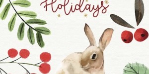 Beitragsbild des Blogbeitrags Frohe Weihnachten und einen guten Rutsch / Merry Christmas and happy New Year 