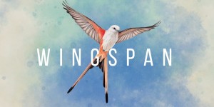 Beitragsbild des Blogbeitrags Wingspan: Entspannendes Kartenspiel erscheint am 17. September auf PC