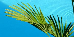 Beitragsbild des Blogbeitrags Badefass Test Vergleich: Die besten Badefässer