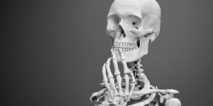 Beitragsbild des Blogbeitrags Weder primitiv noch völlig verschwunden: Der Neandertaler. Eine Lektion in Demut für den Homo Sapiens?