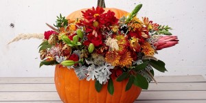 Beitragsbild des Blogbeitrags Pumpkin Art: Kürbis mit Blumen dekorieren