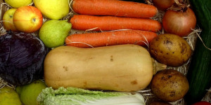 Beitragsbild des Blogbeitrags Obst und Gemüse online bestellen | Wien & Umgebung