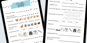 Beitragsbild des Blogbeitrags Tierklinik & Kinderklinik | Spielvorlagen