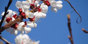 Beitragsbild des Blogbeitrags Muttertag – it grows on you