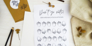 Beitragsbild des Blogbeitrags Dont go nuts! Adventskalender zum Abstreichen
