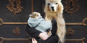 Beitragsbild des Blogbeitrags Muttertiere.