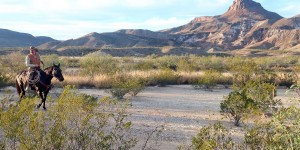 Beitragsbild des Blogbeitrags Wild, wild West-Texas: Bucket List für einen Roadtrip durch West-Texas 