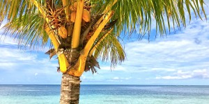 Beitragsbild des Blogbeitrags Relaxen und reisen trotz Corona: 10 DVDs und CDs für eine entspannte Reise um die Welt