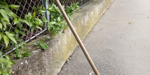 Beitragsbild des Blogbeitrags Elf Müllmänner glücklich machen