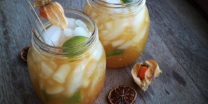 Beitragsbild des Blogbeitrags Maracuja Ipanema Cocktail – mit und ohne Alkohol
