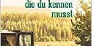 Beitragsbild des Blogbeitrags Bulli Camper Ausbau: Regaltüren