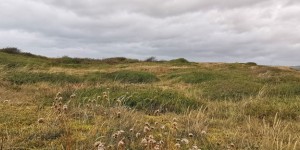 Beitragsbild des Blogbeitrags Dunes de Biville, Normandie, Frankreich 