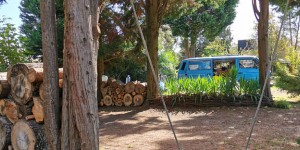 Beitragsbild des Blogbeitrags Camping o Tamanco, Costa da Prata, Portugal