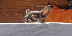 Beitragsbild des Blogbeitrags Long time no hear – Geschichten aus dem Lockdown