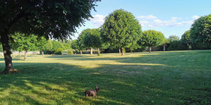 Beitragsbild des Blogbeitrags Camping du Canal de Berry, Saint-Amand-Montrond, Frankreich