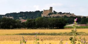 Beitragsbild des Blogbeitrags Camping lArt de Vivre, Chateauneuf du Pape, Frankreich 